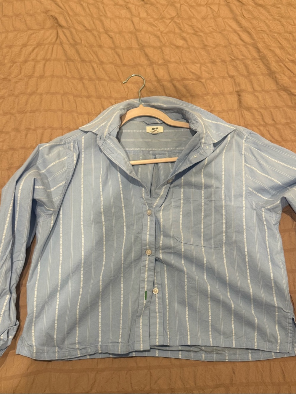 aerie Light Blue and White Striped Men’s Button-Down Shirt